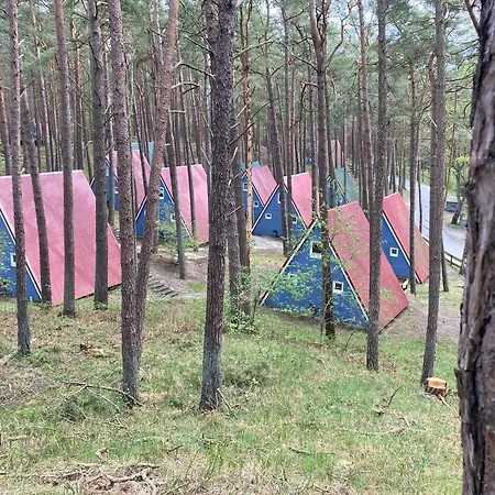 Ostseezauber Pur, Entspannt Wohnen Mit Eigener Terrasse & Naturblick - Caspar בית נופש טראסנהיידה